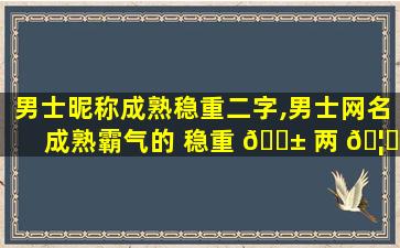 男士昵称成熟稳重二字,男士网名成熟霸气的 稳重 🐱 两 🦈 个字